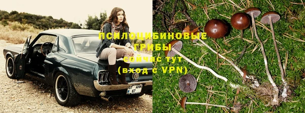 a pvp Богородицк