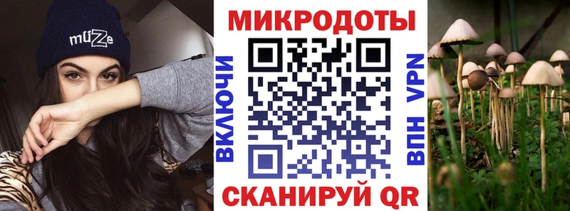 Псилоцибиновые грибы мухоморы  купить наркотик  Пионерский 